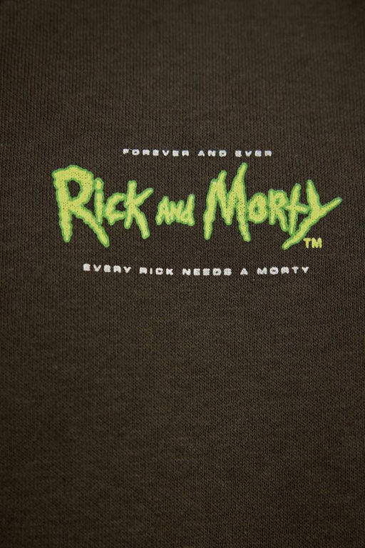 Толстовка свободного кроя с капюшоном Rick and Morty - Defacto фото 5