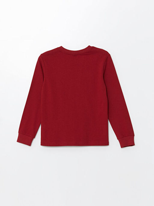 Bisiklet Yaka Erkek ?ocuk Ti??rt - Waikiki фото 3