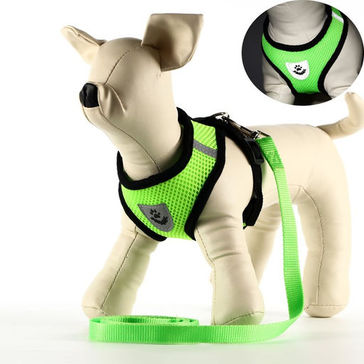 Комплект амуниции с мягкой шлейкой и светоотражающей нашивкой, S, ОШ 24 см, ОГ 28-33 см, зелёны 7149 - Пижон фото 2