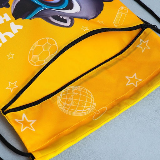 Сумка для обуви Учусь на 5!, 2 секции, 41х31 см - Artfox study фото 7