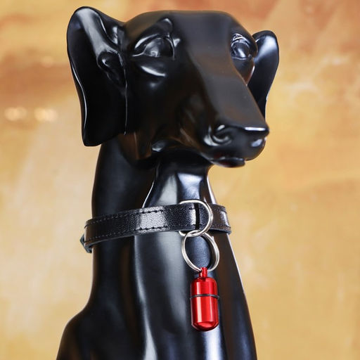 Адресник - капсула под записку, 2,2 х 1,3 см, бордовый - Пижон фото 5