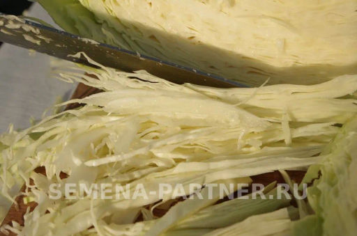 Капуста белокочанная позднеспелая Орион - Партнер фото 7