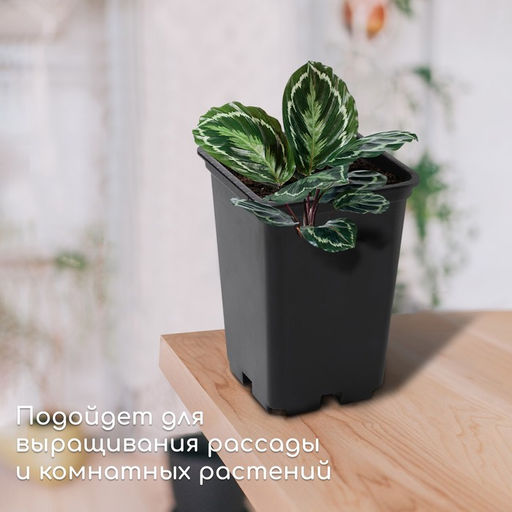 Цена за 2 шт. Горшок для рассады, 7 л, 21×21×27.5 см, чёрный