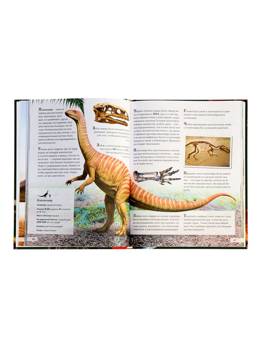 Энциклопедия в твёрдом переплёте "Планета динозавров" 128 стр.