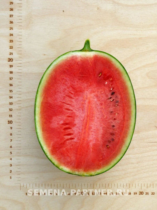 Арбуз Кубок Огня - Партнер фото 5