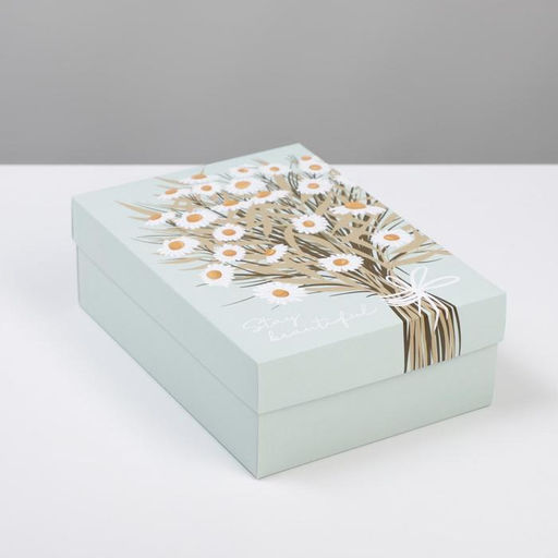 Цена за 2 шт. Коробка подарочная складная, упаковка, Ромашки, 21?15?7 см
