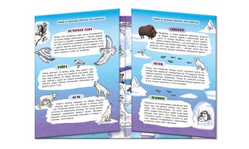 Книжка-картинка для детей. Серия Найди, покажи, узнай арт. 59039 СНЕЖНЫЙ СЕВЕР - Феникс+ фото 2