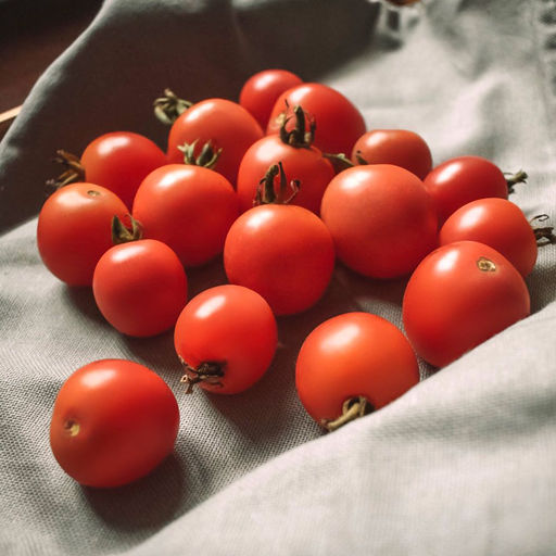 Томат ШАЛУН Необычайно сладкий и обильный томат черри из Сибири! Скороспелый! Плодоносит до осени! - Уральский дачник фото 2
