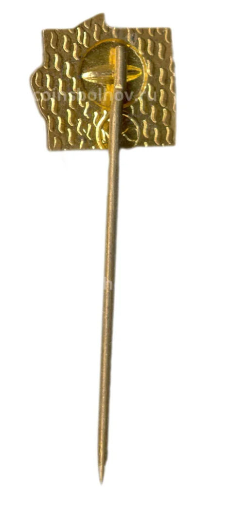 Значок CCCP -Чехословакия