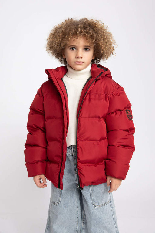 Водоотталкивающая куртка-пуховик с капюшоном для мальчиков - Defacto фото 6