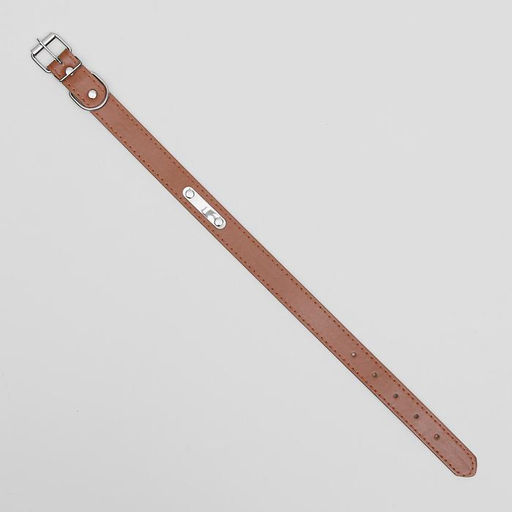 Ошейник из искусственной кожи с шильдом под гравировку, 52 х 2,5 см, ОШ 35-45 см, коричневый - Пижон фото 3