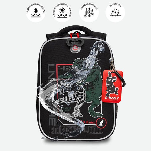 RAw-497-10 Рюкзак школьный - Grizzly фото 46
