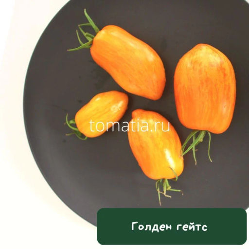 Голден Гейтс