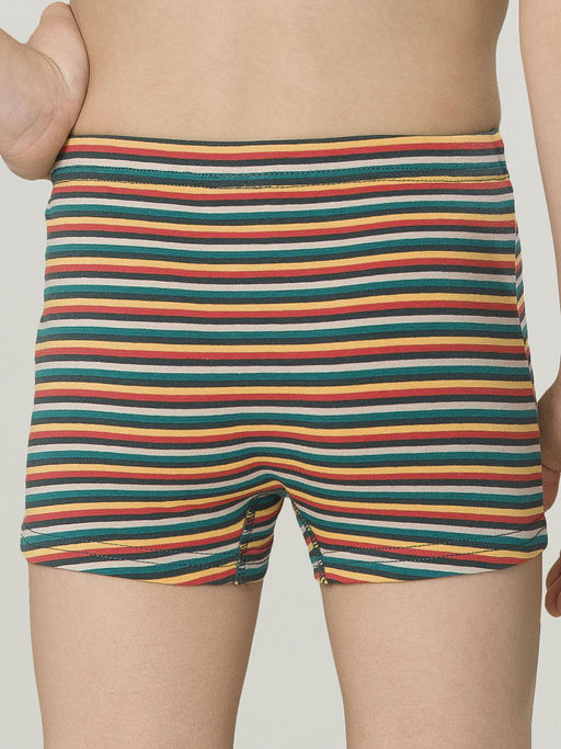 BUHB3295(2шт. в упаковке) трусы для мальчиков - Pelican фото 3