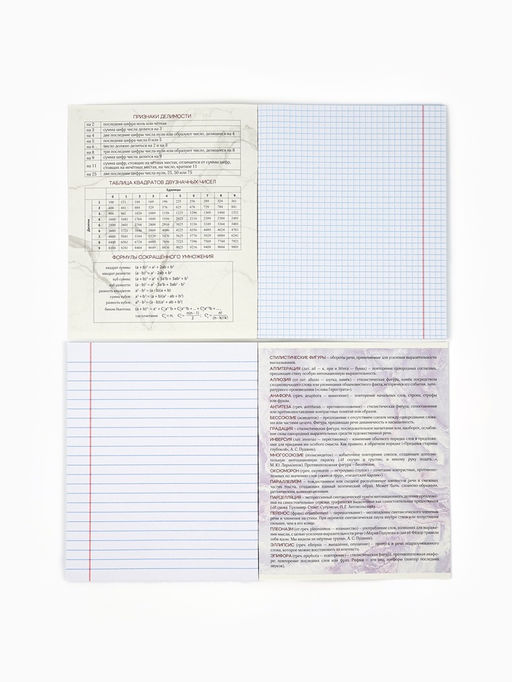 Тетради предметные, 48 л., набор из 10 шт. Мрамор - Artfox study фото 5