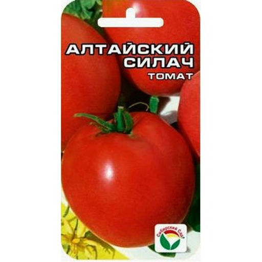 Томат Алтайский силач 20шт. (Сибирский сад)