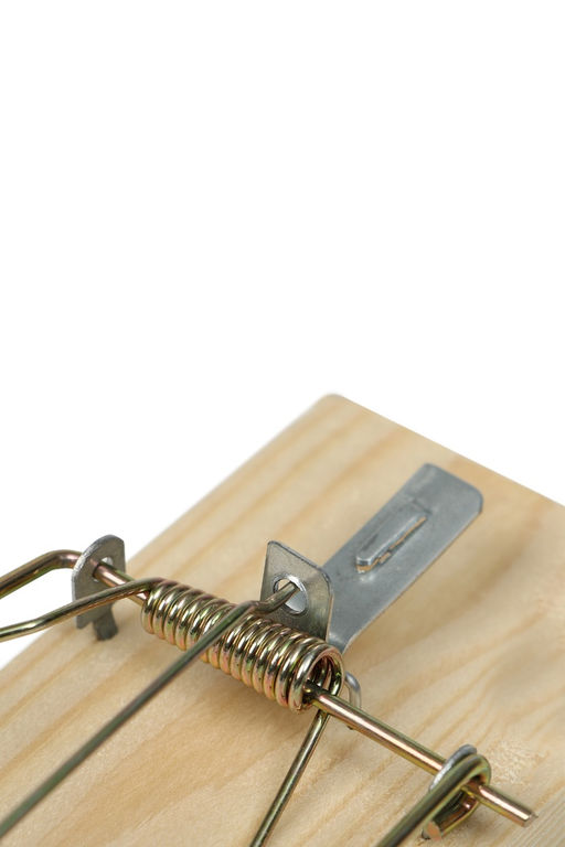 Цена за 2 шт. Крысоловка, 6 × 12 см, деревянная, Greengo