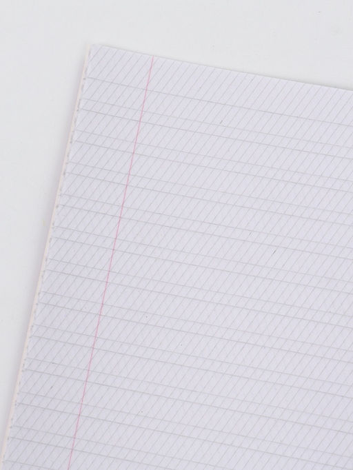 Цена за 20 шт. Тетрадь А5, 12 листов в косую линейку "Мордочки" микс