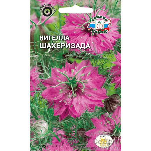Нигелла Шахерезада (чернушка) ярко-розовая 1г (СеДеК)