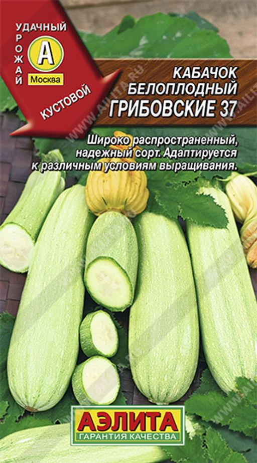 Кабачок белоплодный Грибовские 37