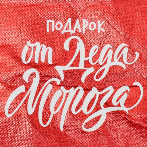 Пакет-мешок из нетканного материала «Подарок от Деда Мороза», 25 х 32 см