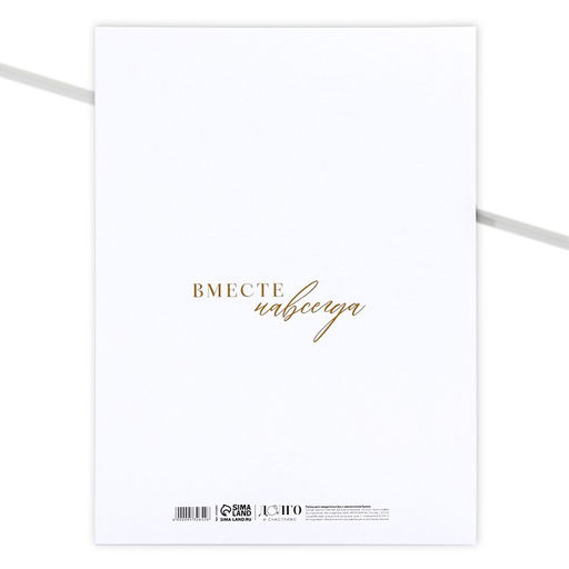 Папка для свидетельства о заключении брака Самый важный день, коллаж, А4 - Долго и счастливо фото 2