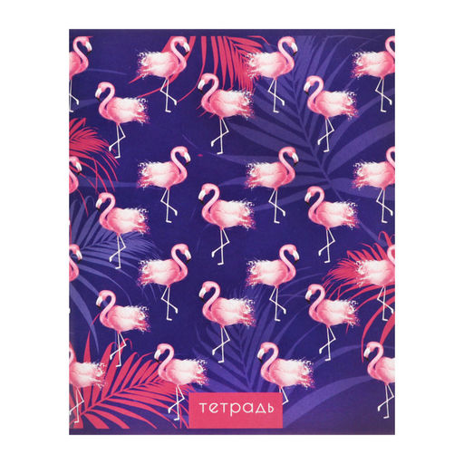 Набор тетрадей, 96 листов в клетку, Calligrata «Фламинго», 4 штук