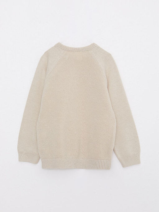 Bisiklet Yaka Kendinden Desenli Erkek Bebek Triko Kazak - Waikiki фото 3