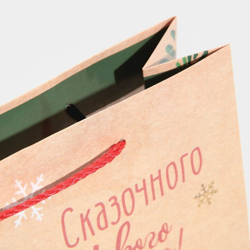 Цена за 2 шт. Пакет подарочный новогодний ламинированный «Сказочного Нового года», ML 21 х 25 х 8 см