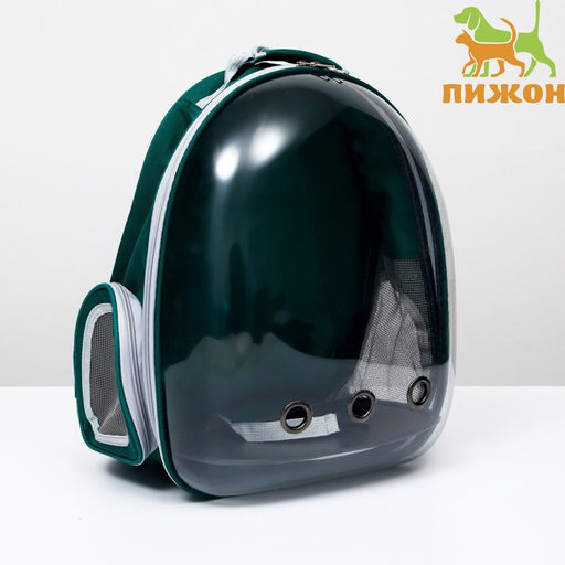 Рюкзак для переноски животных, прозрачный, 31 х 28 х 42 см, зелёный