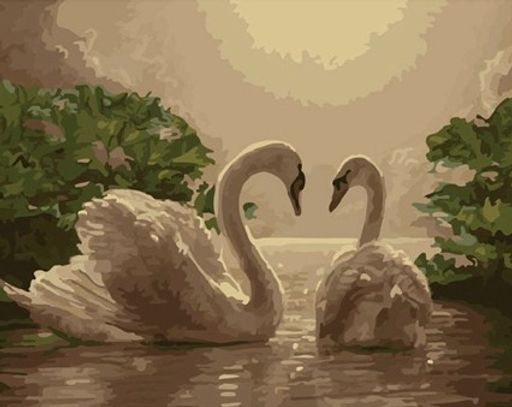 VA-1357 - Raduga фото 2