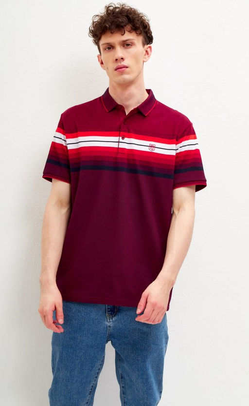 Футболка-поло мужская в полоску F311-07-601 бордовая