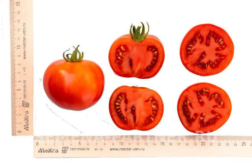 Томат Карен - Партнер фото 7