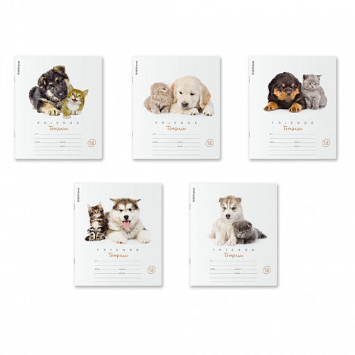 Цена за 280 шт. Тетрадь школьная ученическая ErichKrause Дружба, 12 листов, линейка (в плёнке по 10 шт.)  фото 2