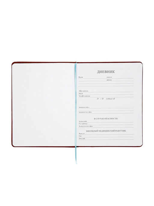 Дневник школьный 1-11 класс, ляссе, обложка искусственная кожа, с хлястиком, коричневый