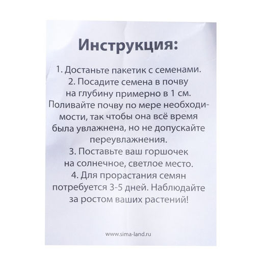 Набор для опытов Выращиваем травку, зайка - Эврики фото 5