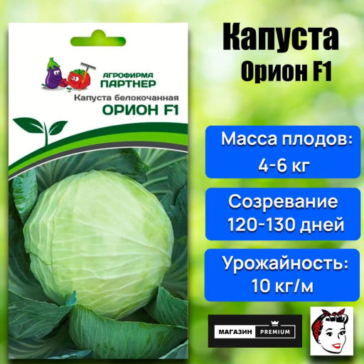 Капуста белокочанная позднеспелая Орион - Партнер фото 8