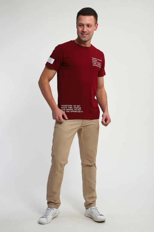 Футболка мужская 052