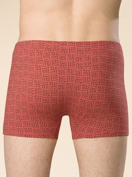 PELICAN MUHB6916 Трусы мужские  фото 2