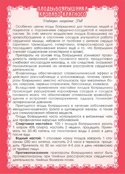 2 шт. Боярышник кроваво-красный (плоды) - Мариславна фото 3