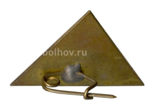 Значок Карпаты