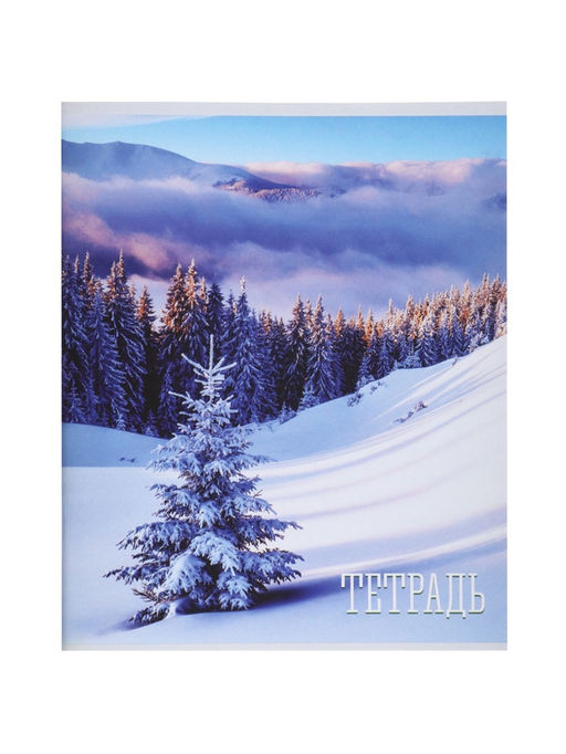 Комплект тетрадей, 48 листов в клетку, Calligrata «Времена года», серые листы, 4 штук