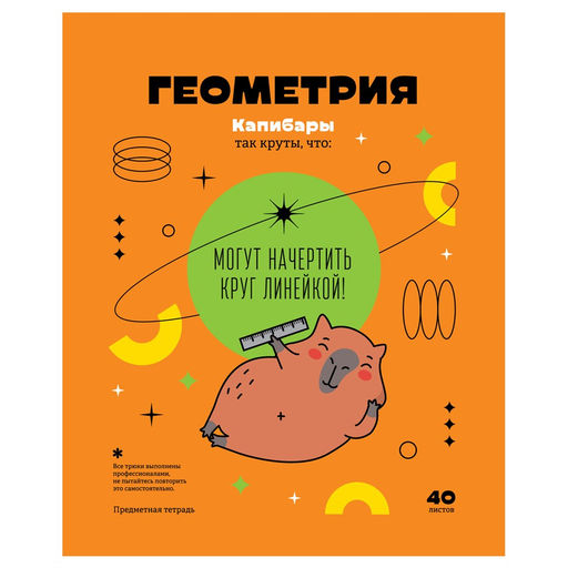 Тетрадь 40л. ЗАПИСКИ ШКОЛЬНИКА "Геометрия" (ТПск40 12823, BG)