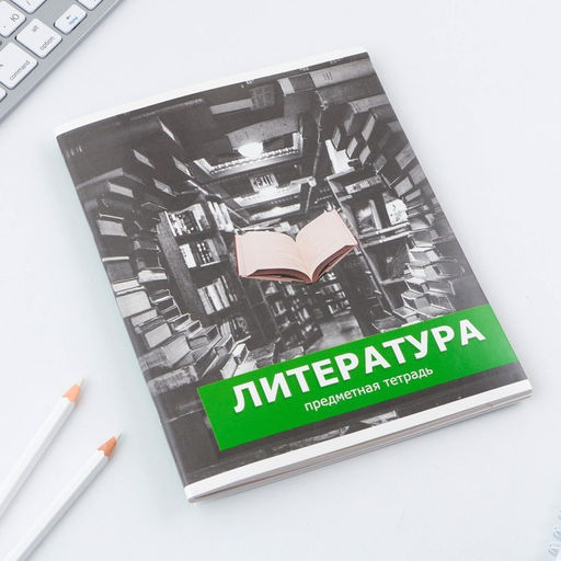 Предметная тетрадь, 48 листов, ПРЕДМЕТЫ, со справочными материалами Литература, обложка мелованный картон 230 гр., внутренний блок в линейку 80 гр., белизна до 80%, блок №2. - Artfox study фото 2