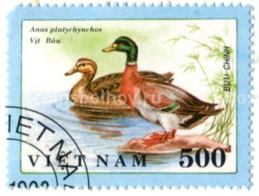 Марка Кряква 1991 год Вьетнам