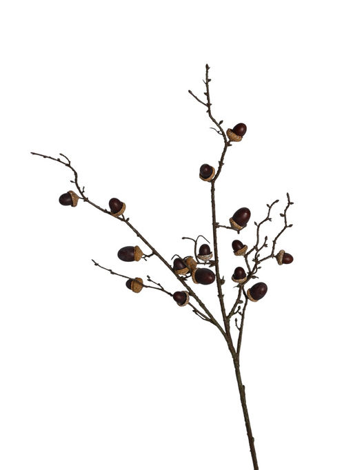 Цветы искусственные «Ветка жёлудей дуба», жёлудь 3.5 см, h=76 см, коричневые