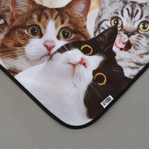 Фартук кухонный Коты, полноцветный - Beauty fox фото 4