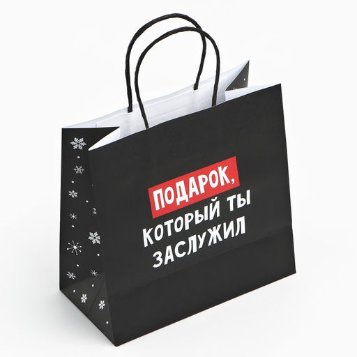 Цена за 2 шт. Пакет подарочный новогодний «Подарок, который ты заслужил», 22×22×11 см