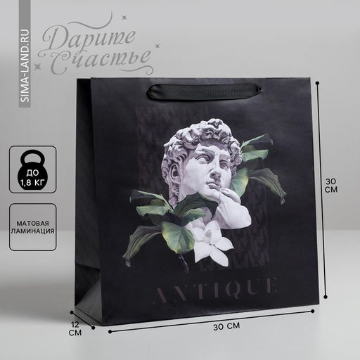 Цена за 2 шт. Пакет подарочный ламинированный квадратный, упаковка, «Antique», 30×30×12 см