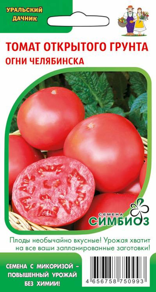 Томат ОГНИ ЧЕЛЯБИНСКА Необычайно вкусны! Урожая хватит на все запланированные заготовки, да ещё и родственникам дадите! - Уральский дачник фото 4